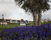 Le Jeune Once TosTour 2013- S4 7289